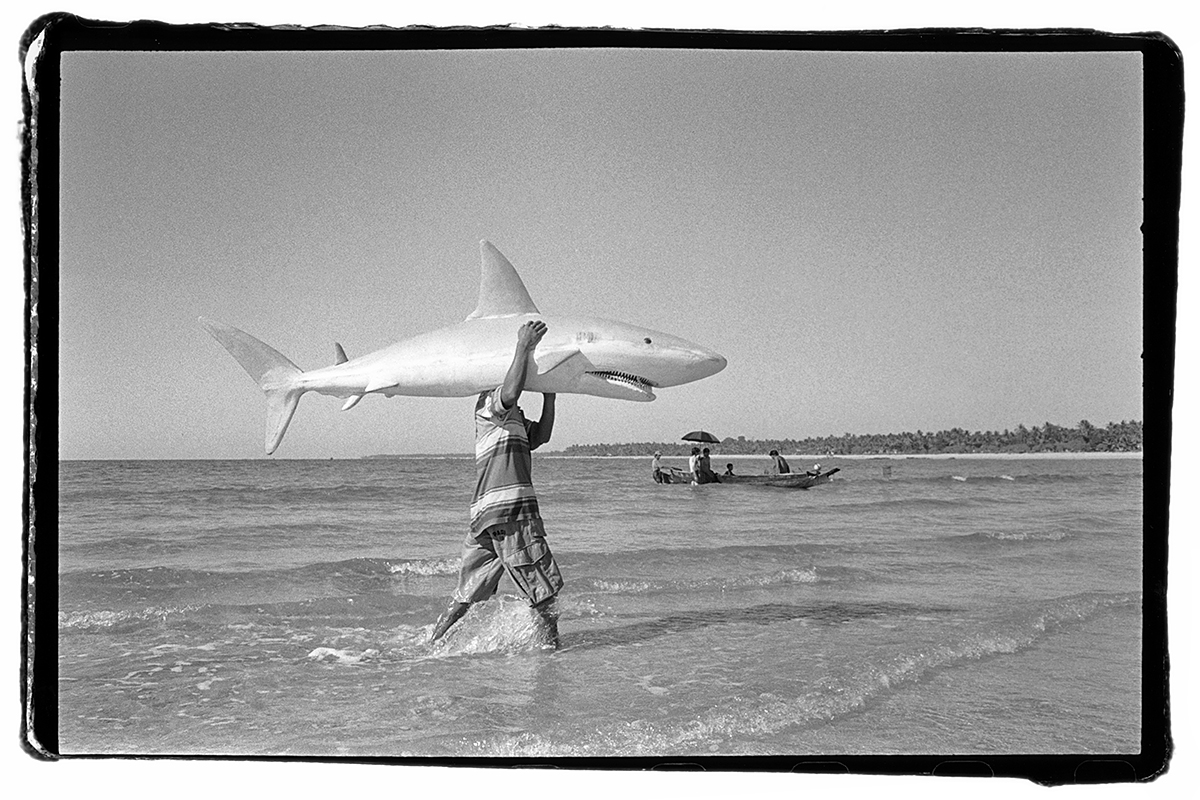 placeholder image-sq