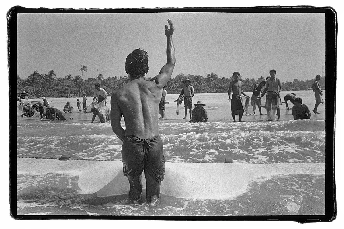 placeholder image-sq