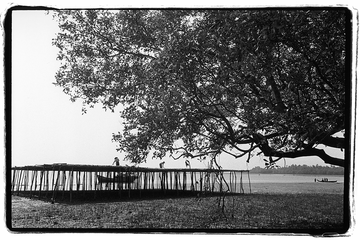 placeholder image-sq